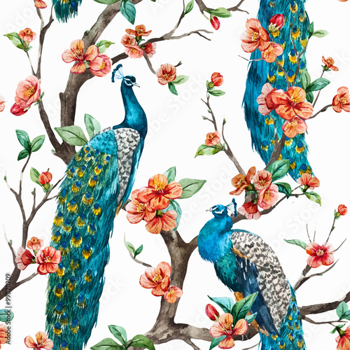 Obraz w ramie Watercolor vector peacock pattern