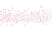 Cherry Blossoms, Pink Flower Background