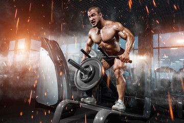 Wall Mural - Athlete muscular bodybuilder in the gym training back with T-bar
