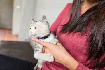 Canvas Print - Asian Woman play with her kitten at home