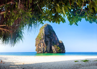 Wall Mural - Sandy beach with rock and tropical plants near Phuket island