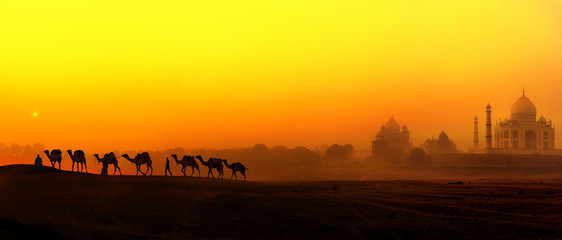 Fototapete - Tourism panoramic landscape of Agra, India