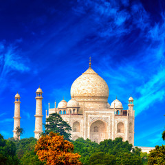 Fototapete - Tajmahal palace and blue sky in India