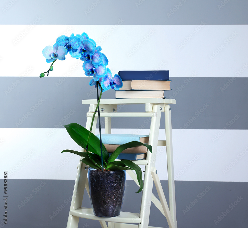 Beautiful blue orchid on decorative table in the room, close up