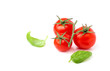 Cherry tomatoes with Basil leaves.