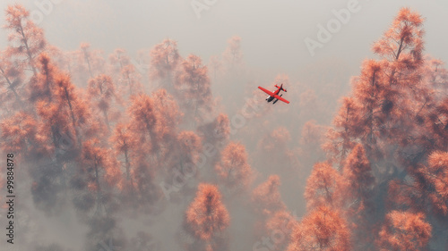 Fotoboard na płycie Samolot jednosilnikowy nad jesiennymi sosnami we mgle.