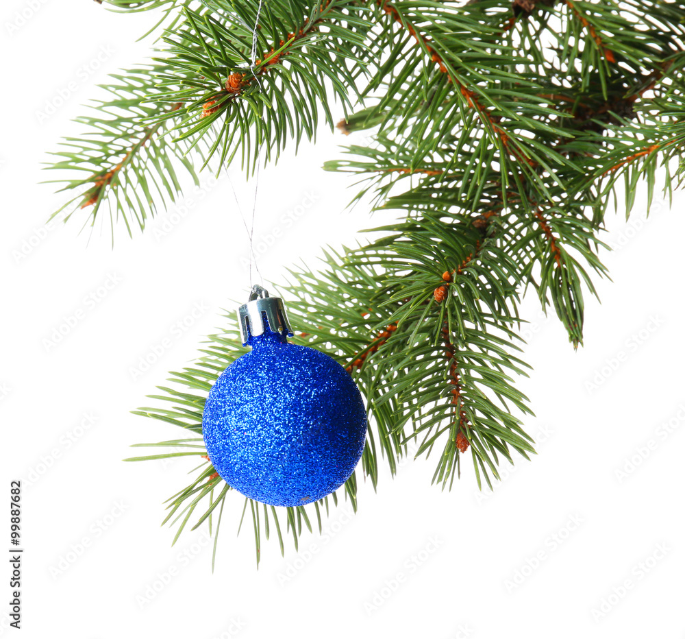 Blue bauble on a Christmas tree branch, isolated on white