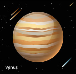 Wall Mural - venus planet 3d vector illustration