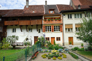 Wall Mural - Garden and house