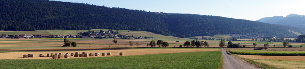 Wall Mural - Panorama of farm fields