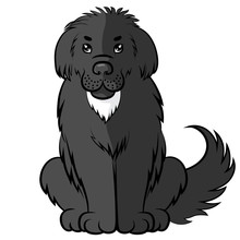 Cartoon Black Big Furry Dog