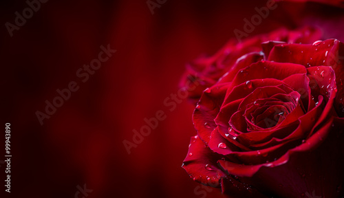 roza-czerwone-roze-bukiet-czerwonych-roz-walentynka-dzien-dnia-slubu