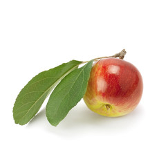 Wall Mural - red apple with green leaf