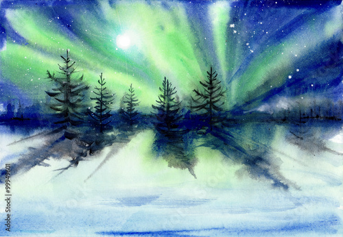 Fotografia, Obraz Beautiful Aurora landscape background with fir trees forest in far away