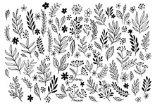 Set Of Sketches And Line Doodles  Hand Drawn Design Floral Elements. Vector Illustration