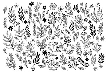 set of sketches and line doodles hand drawn design floral elements. vector illustration