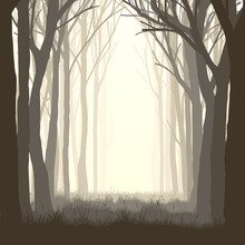 Square Illustration Glade In Forest.