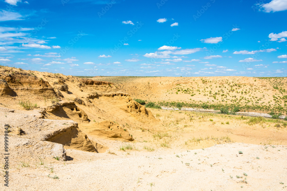 Desert landscape on a summer day. - obrazy, fototapety, plakaty 