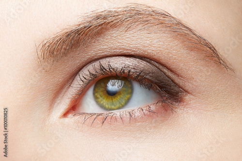 Green Woman Eye Beauty With Light Brown Make Up Colors Green Woman Eye Beauty With Light Brown Make Up Colors