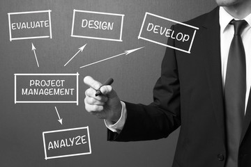 Wall Mural - Business man writing Project Management, business product develo