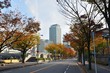 大阪　中之島　市役所沿いの道路