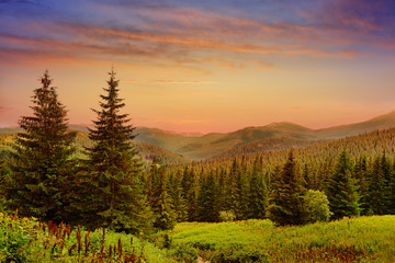 Wall Mural - Beautiful sunrise in the mountains