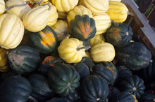 Two Different Coloured Squash Together