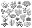 Coral formations Vector Silhouettes