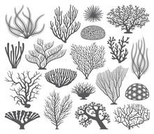 Coral Formations Vector Silhouettes