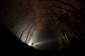Wall Mural - night explorer