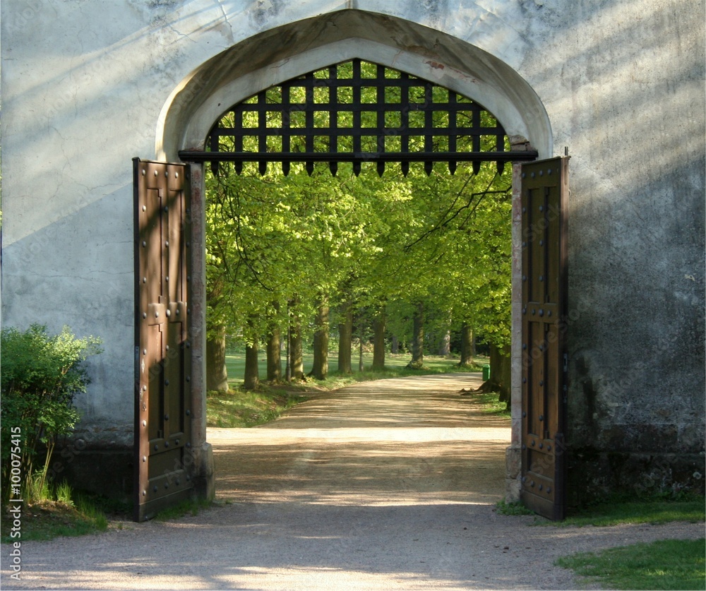 Square photo of opened doors of the historical gate with bars up - obrazy, fototapety, plakaty 