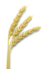 Wall Mural - Three Pieces of Wheat