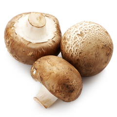 Wall Mural - Brown cap mushrooms