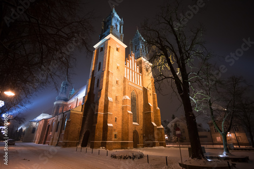 Plakat Katedra Poznańska w zimowej scenerii