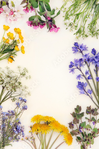 Plakat na zamówienie Spring Wild Flower Border