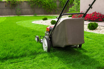 Lawn mower on green grass