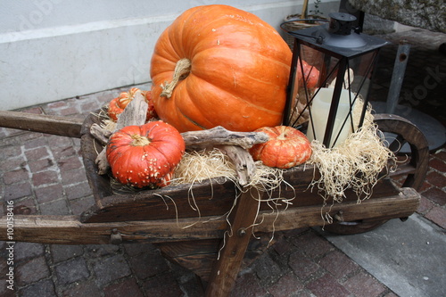 Fotografia, Obraz Pumpkin and lantern on a wheelbarrow for halloween day