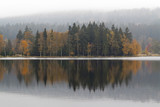 Fototapeta Las - Autumn trees on the lakeshore