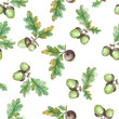 Watercolor Seamless pattern  with acorns
