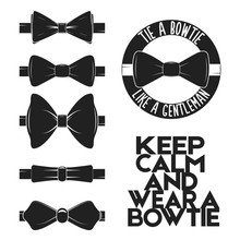 Illustration Set Of Bow Tie In Vector On White Background. Bow-tie Logo, Label, Icon For Projects, Cards, Invitations. Gentleman Illustration With Bowtie Quote.