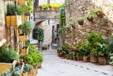 Fototapeta Uliczki - Photography with Orton effect of a street decorated with plants and flowers in the historic Italian city of Spello (Umbria, Italy)