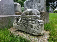 An Old Grave Of A Pet Dog In The Green Grass
