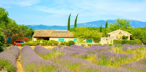 Wall Mural - Provence, France