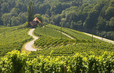 Road in a shape of a heart, Maribor, Slovenia