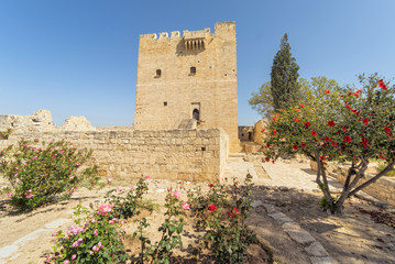 Wall Mural - Medieval Limassol Castle fisheye view. Cyprus.
