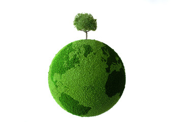 tree on the globe
