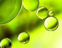 Abstract Background Nature Green, Water Drops Macro.