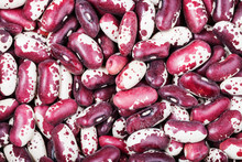 Raw Red Speckled Beans Close Up
