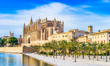 Fototapeta Tulipany - Cathedral of Majorca Palma Spain
