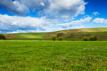 Wall Mural - green field and blue sky